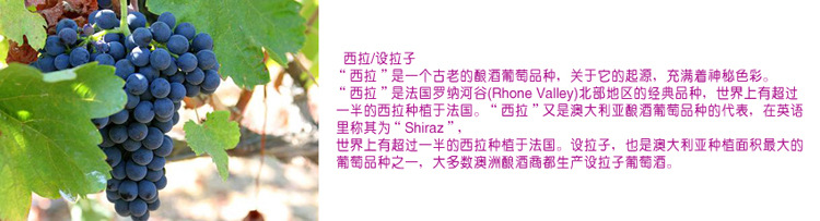 西拉