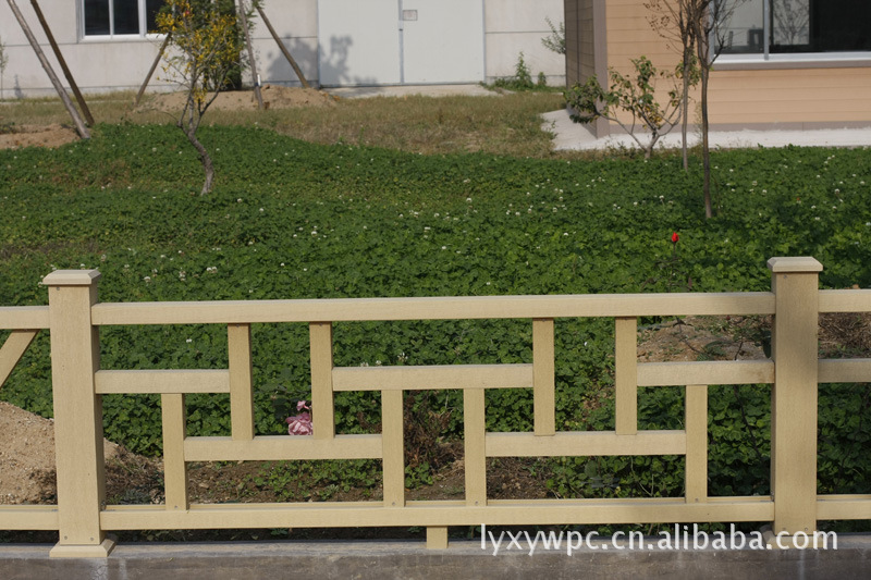 _MG_5597 (800x533) (800x533)