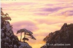 黄山三日游单人套票(3)