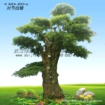 �Խڰ��� �Խڰ����� �Խڰ���԰�־����� �人����԰�չ�Ӧ