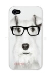 ��Ӧƻ��iPhone 4G �۾������Ųʿ� �ֻ�������