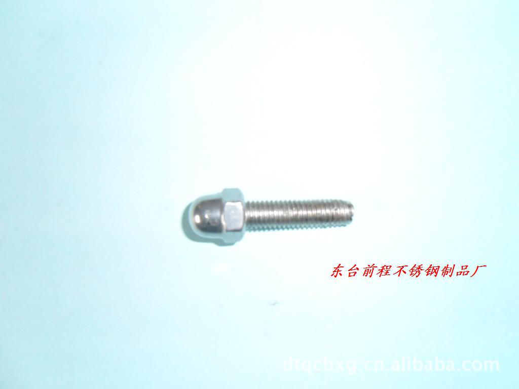 供应316不锈钢盖形螺栓,盖形螺母