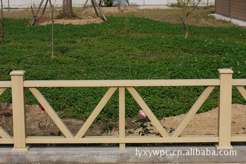 _MG_5598 (800x533) (800x533)