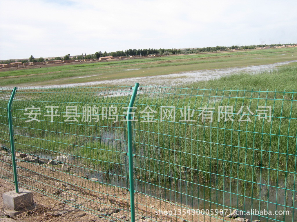 双边丝护栏网[1] (2)