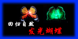 LED �������