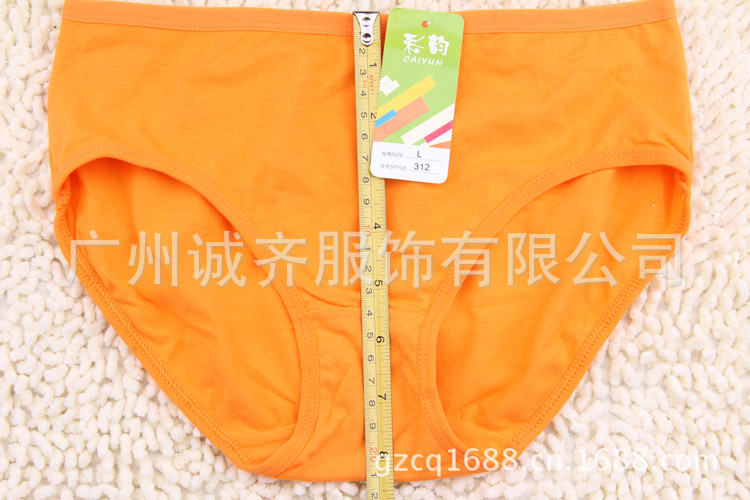 GS673 纯色女士内裤 (27)