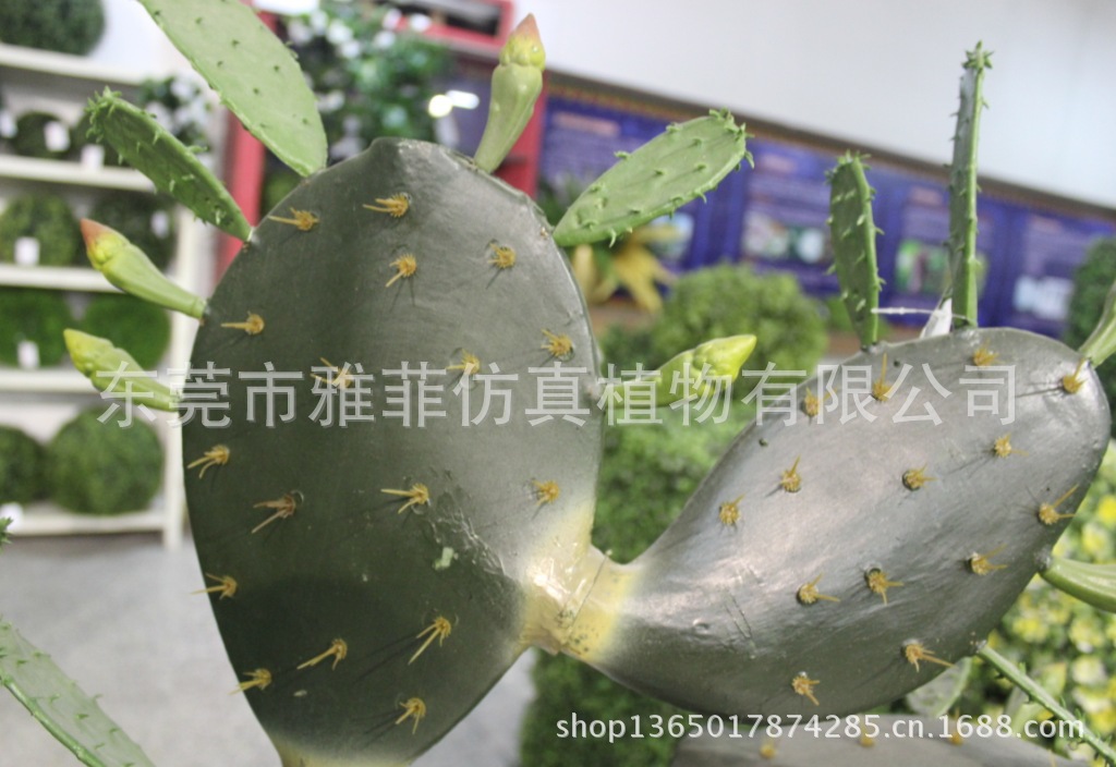 QQ截图20130629171458