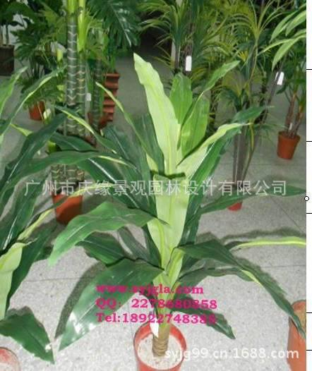 巴西铁1m高单杆28叶