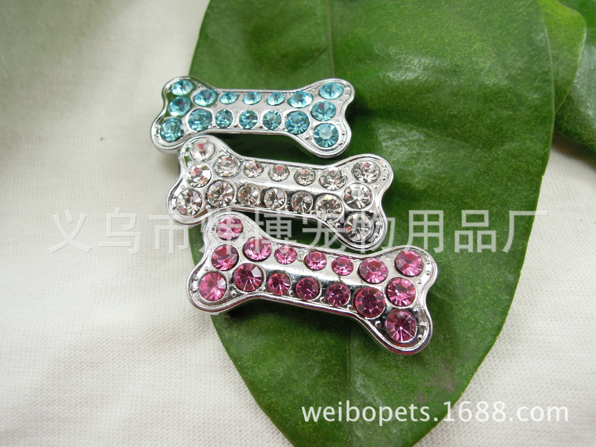 DSCN0282