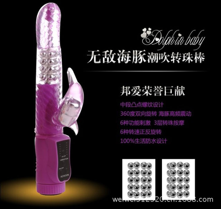 邦愛無敵海豚04