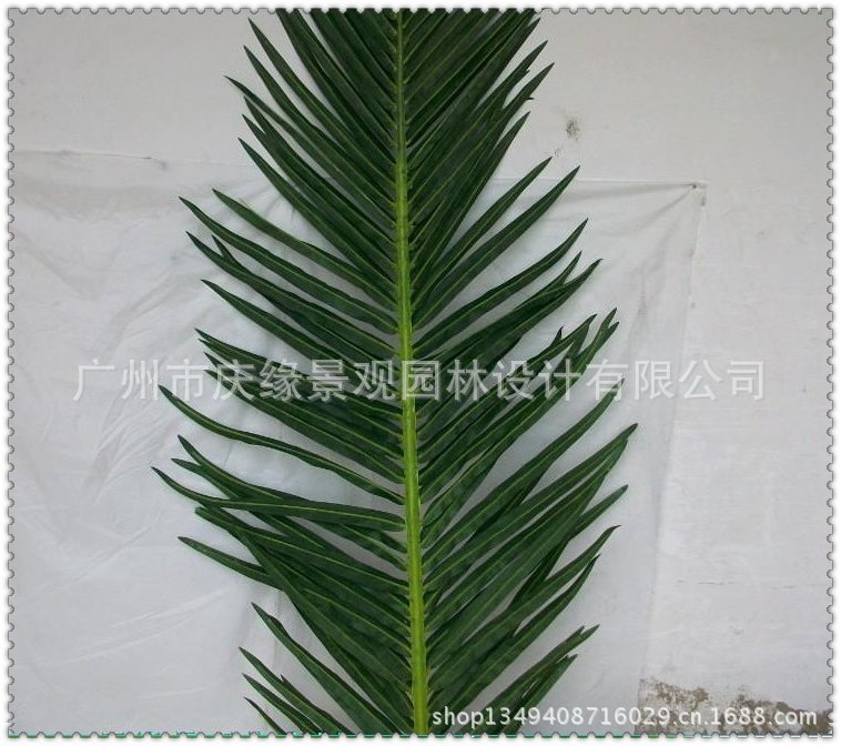 qq图片20130614101730