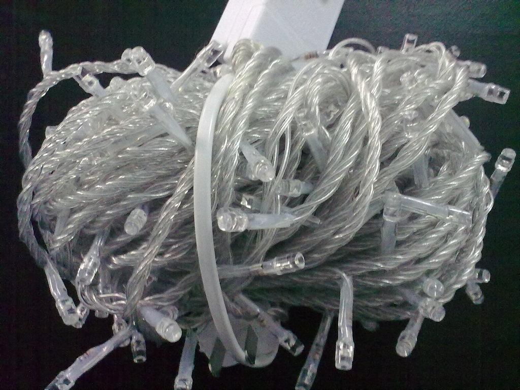 20101210795