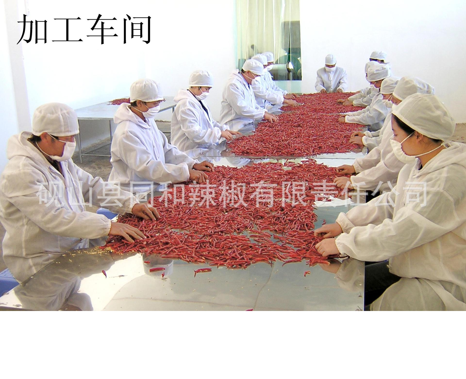 大量供应各种等级辣椒干,干辣椒,出口辣椒干