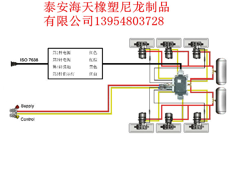 771771482_103279855_副本