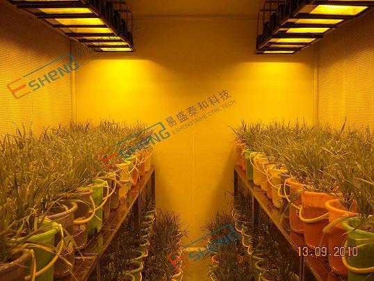 河南科技学院--小麦