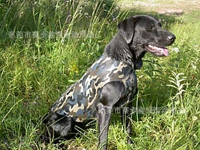 neoprene dog vest