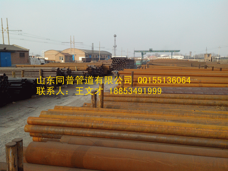 IMG_20130115_150515_副本