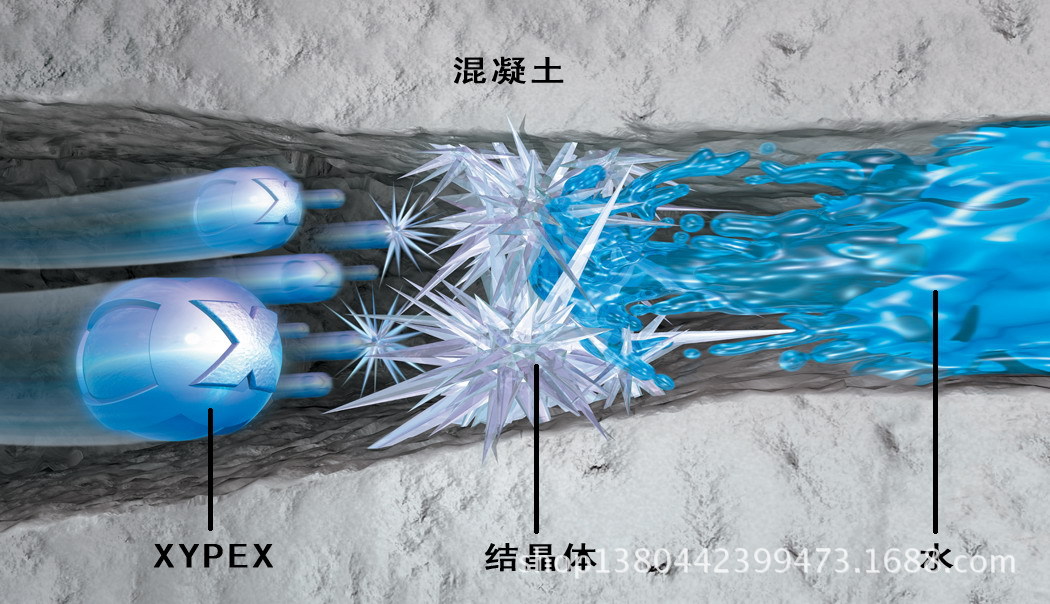 赛柏斯防水材料结晶示意图