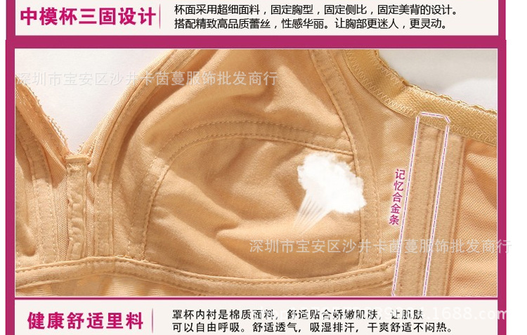 泰麗短胸罩_19