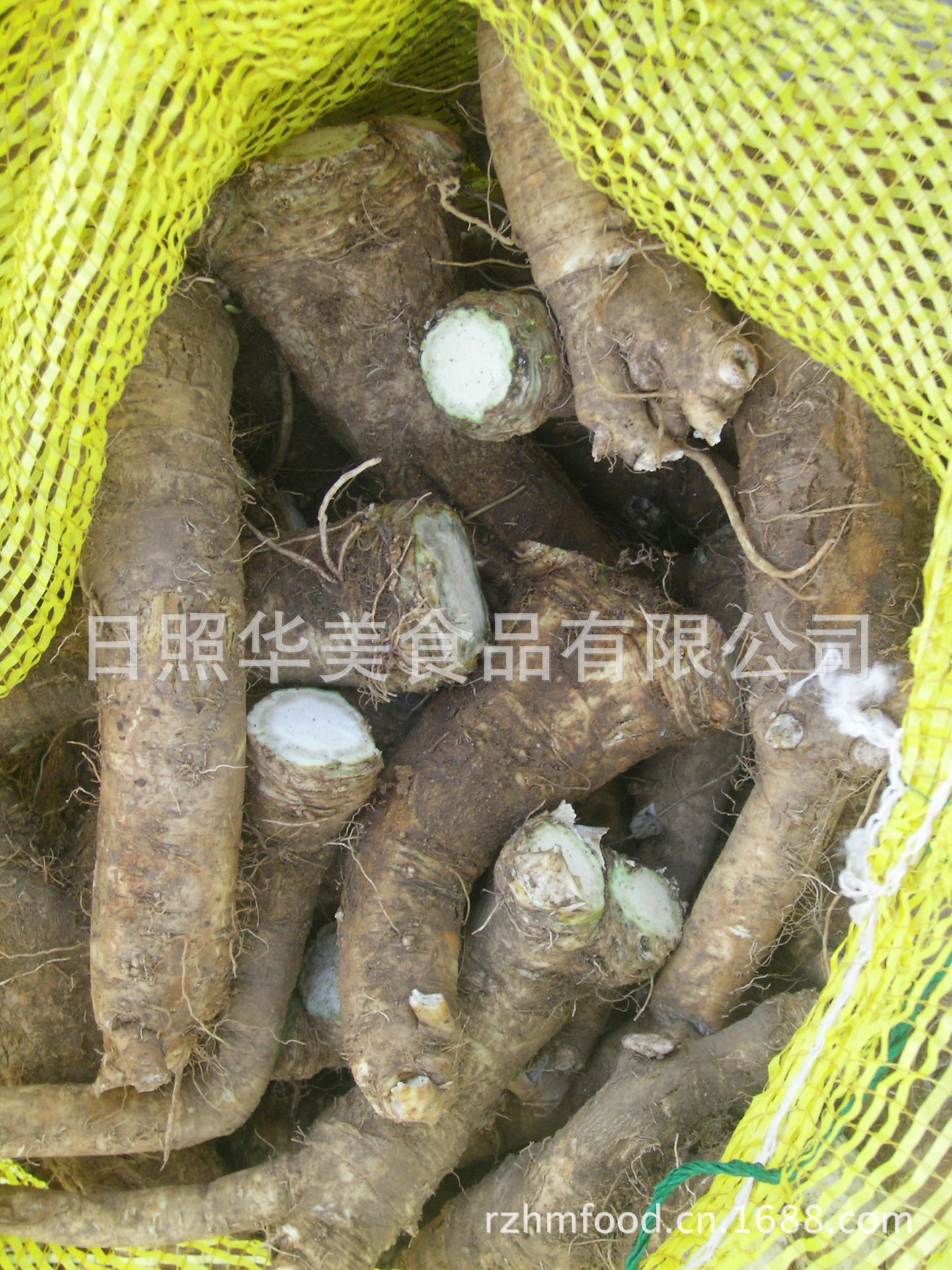 2010-12-04保鲜辣根 006