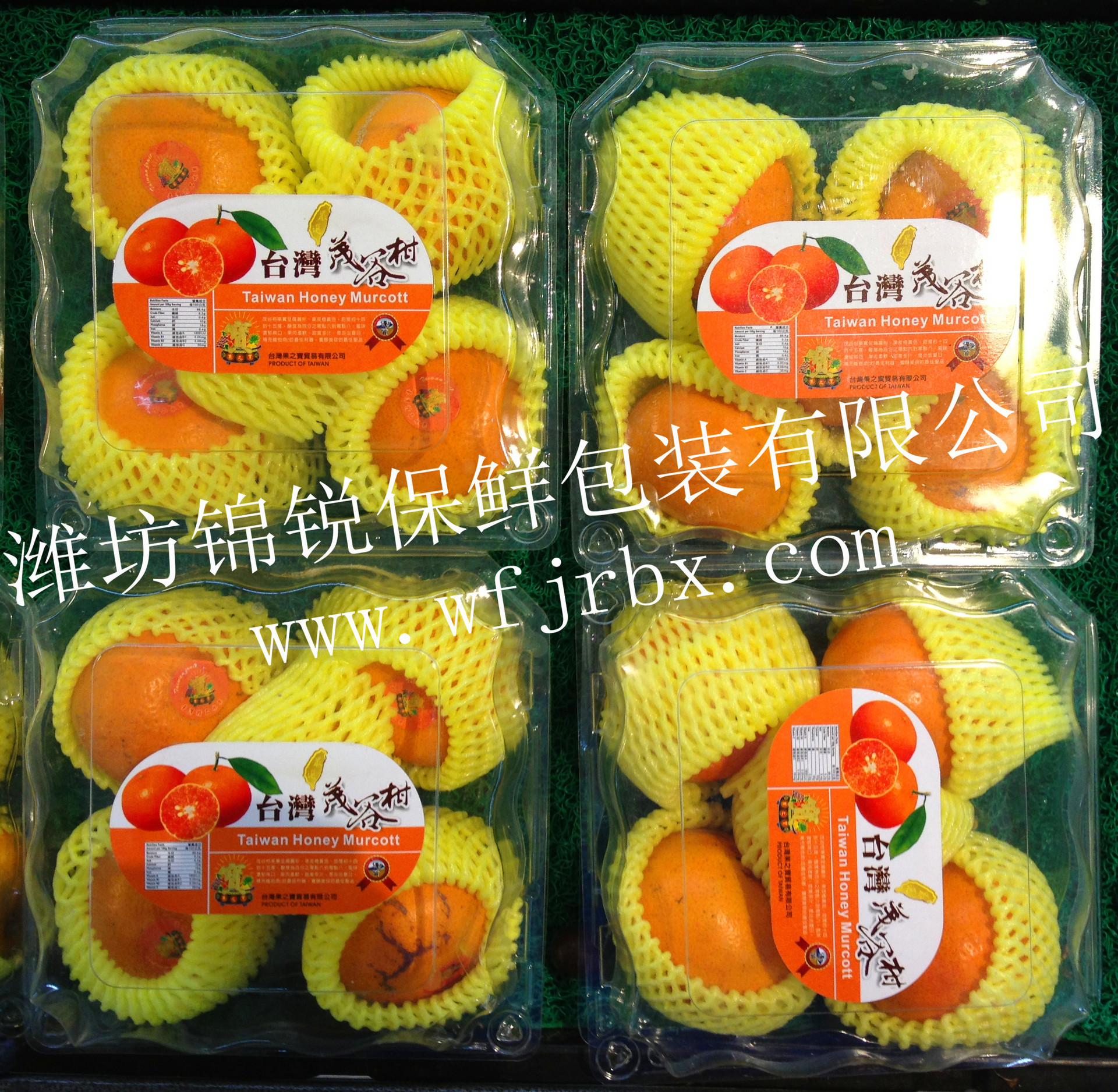 进口甜橘保鲜盒