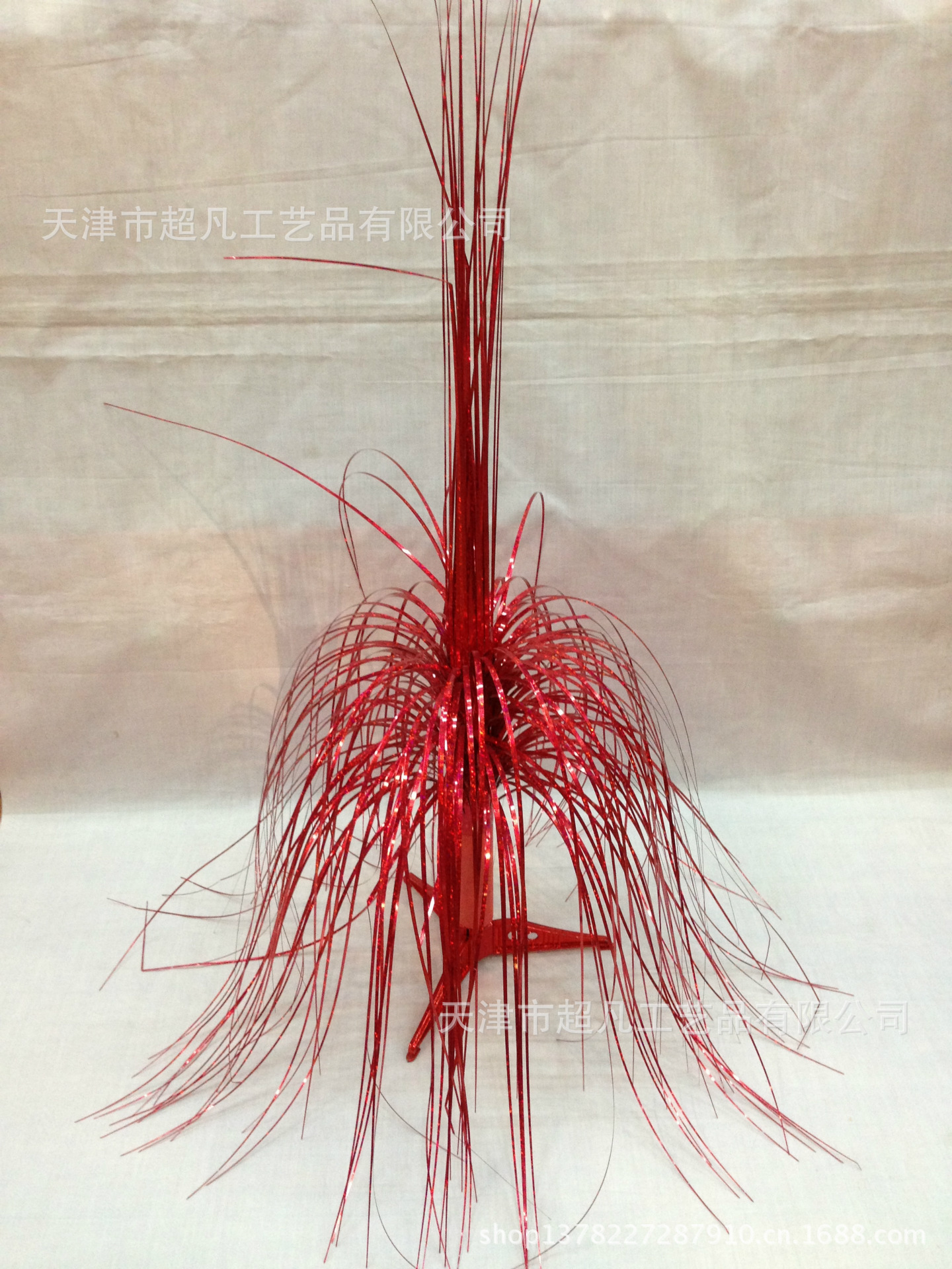 照片 005