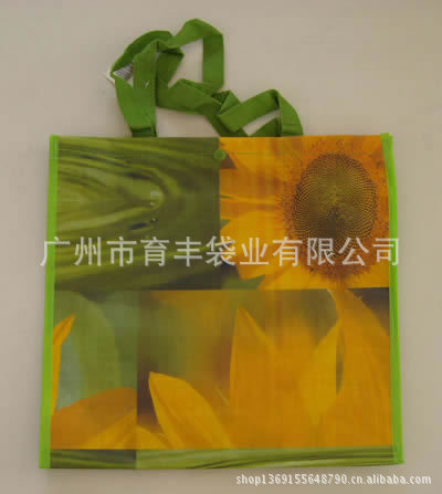 Woven-Shopping-Bags-Pa280008-