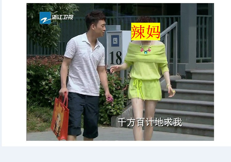 2013秋季新款女包 辣妈正传同款包 孙俪夏冰同款印花手提包大包包图片