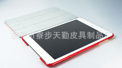 Ipad 套 (24)