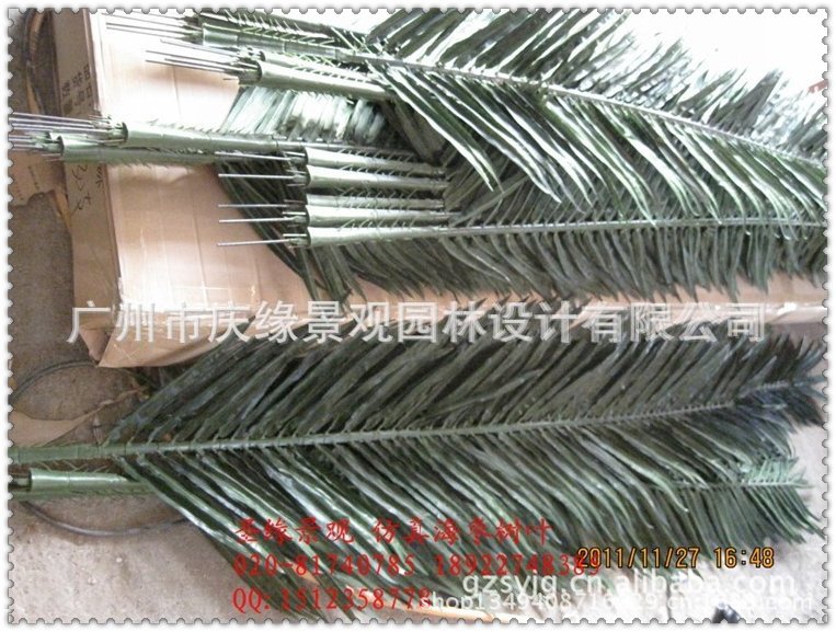 qq图片20130614101632