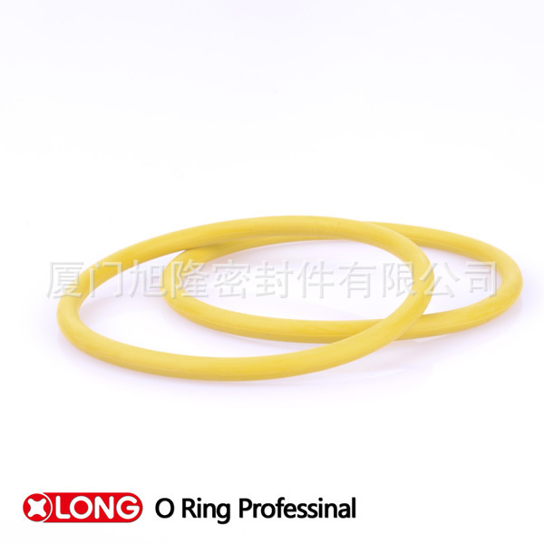 O ring1