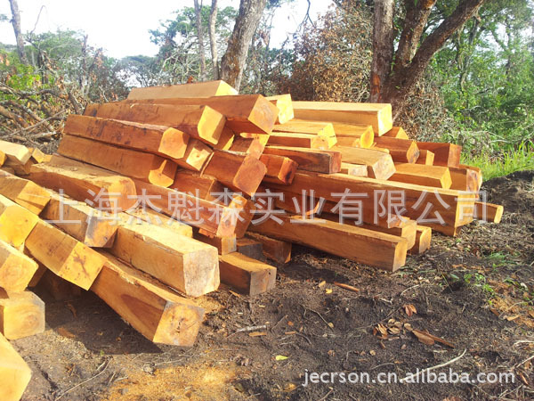 德国斯蒂尔油锯、风力灭火机、割草机FS120