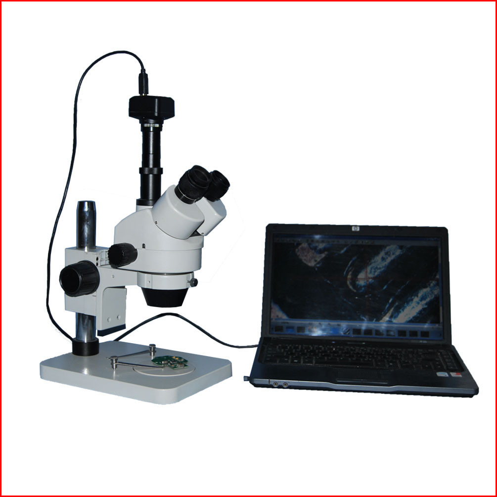 MVV3000C+体视显微? height=