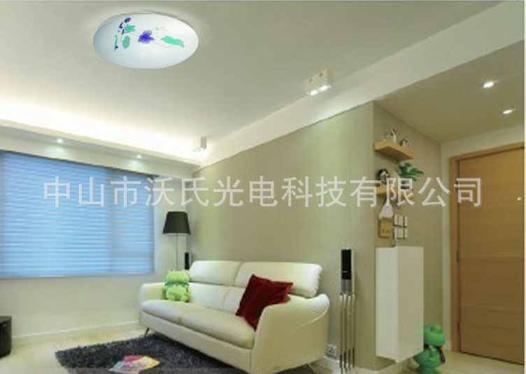 吸顶灯效果图003