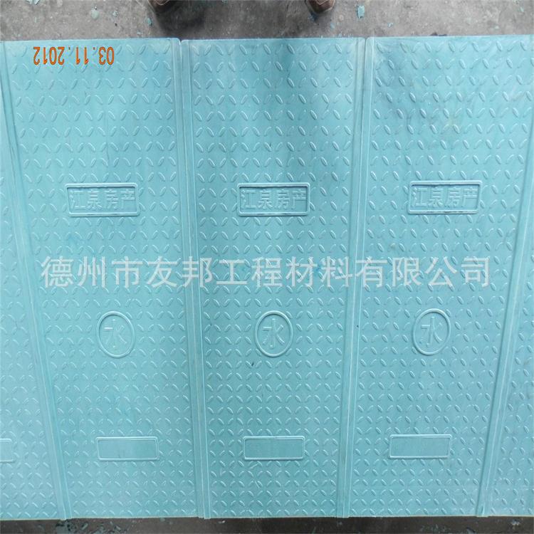 DSCN4160