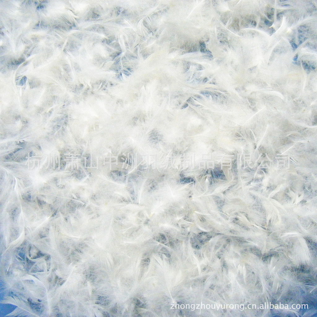 10%白鸭绒,灰鸭绒 本公司生产销售各种规格鸭绒,鹅绒(5-95,广泛