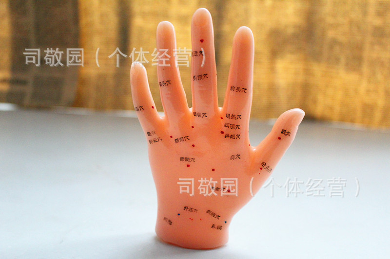 照片 24135_副本