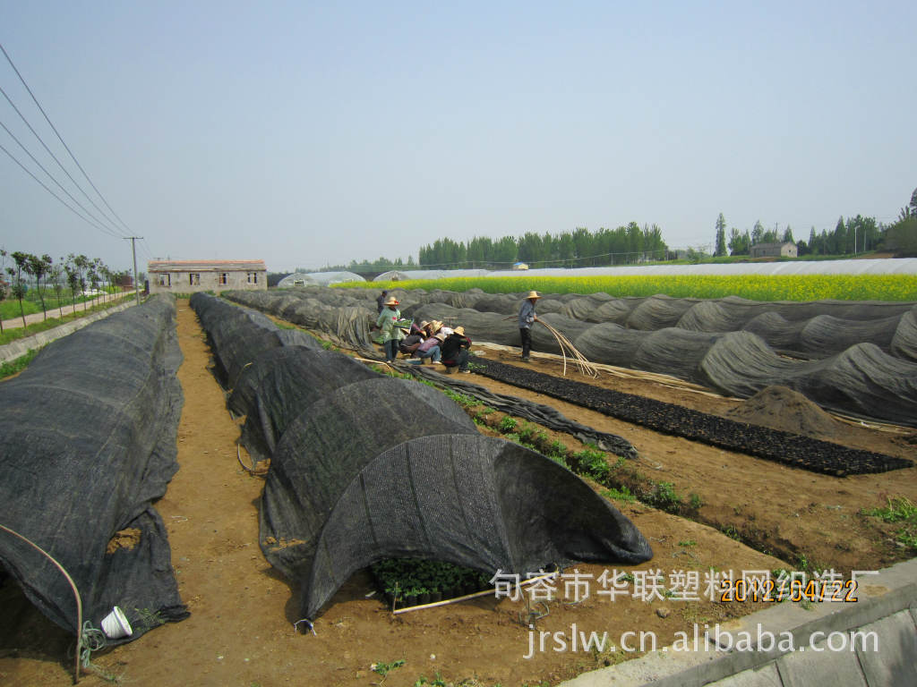 香菇种植遮阳网 香菇专用遮阳网