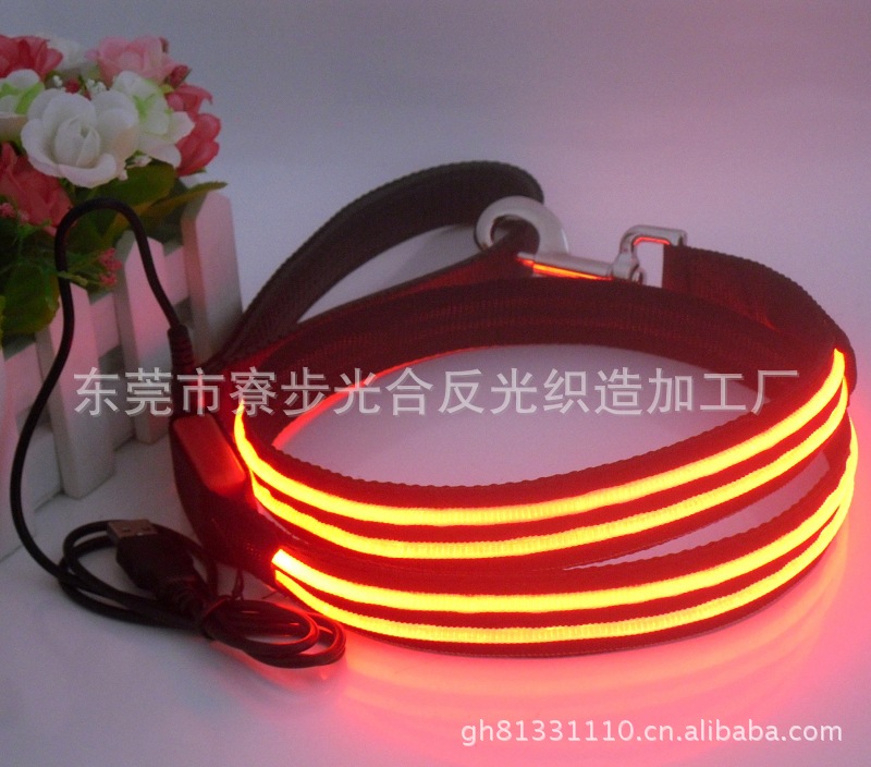 USB充電寵物帶