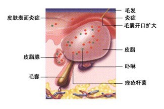 2-1310161J619493