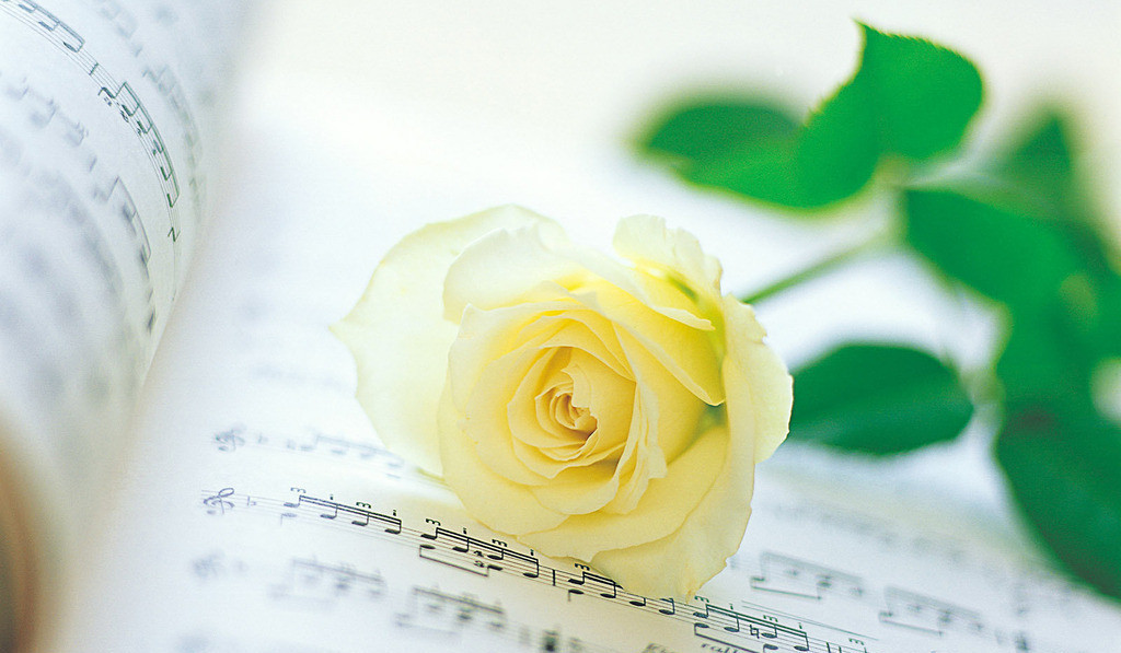 3822951_154617965000_2_副本_副本