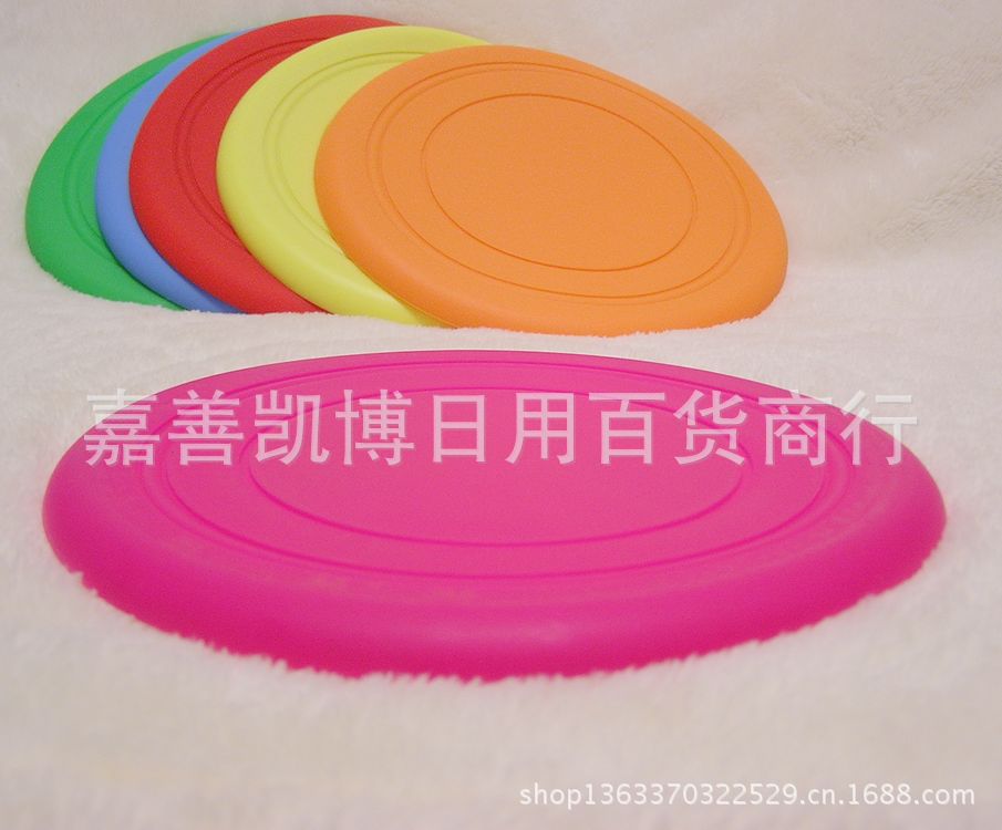P1010233