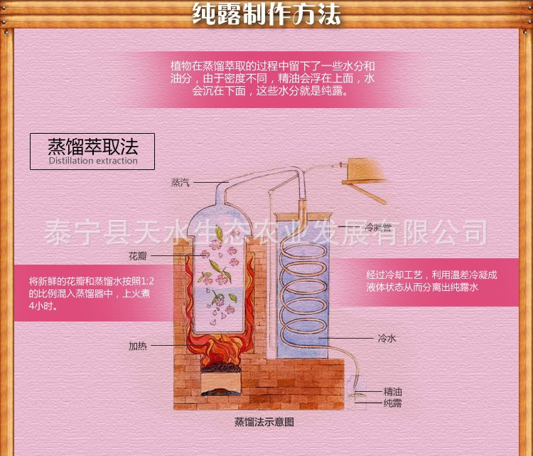 QQ圖片20130726180129