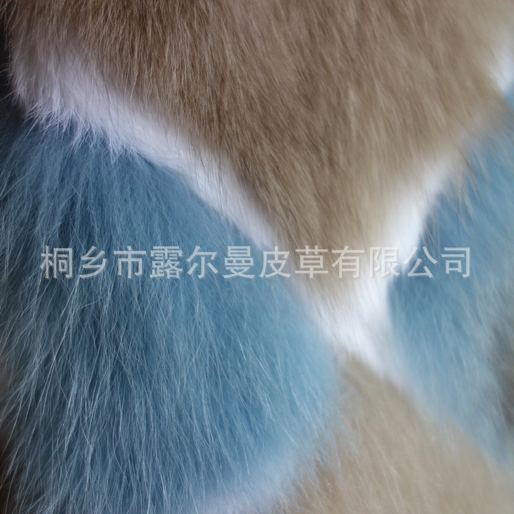 DSC09788_副本