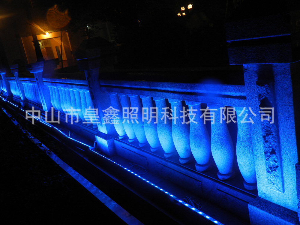 DSCN7526