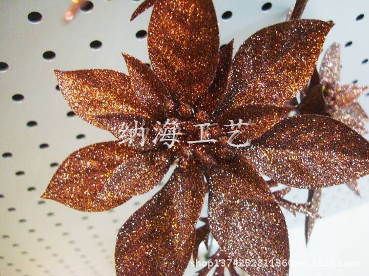 DSC04900