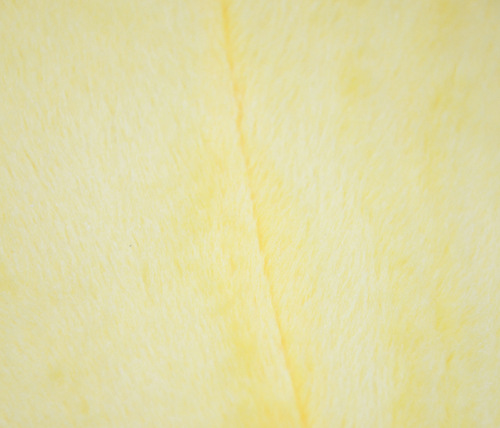 DSC_5498