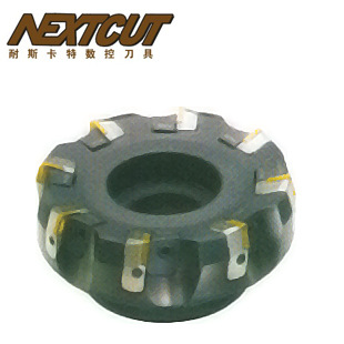 FP75&deg;平面铣刀盘