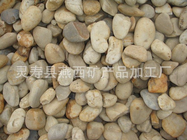 白子