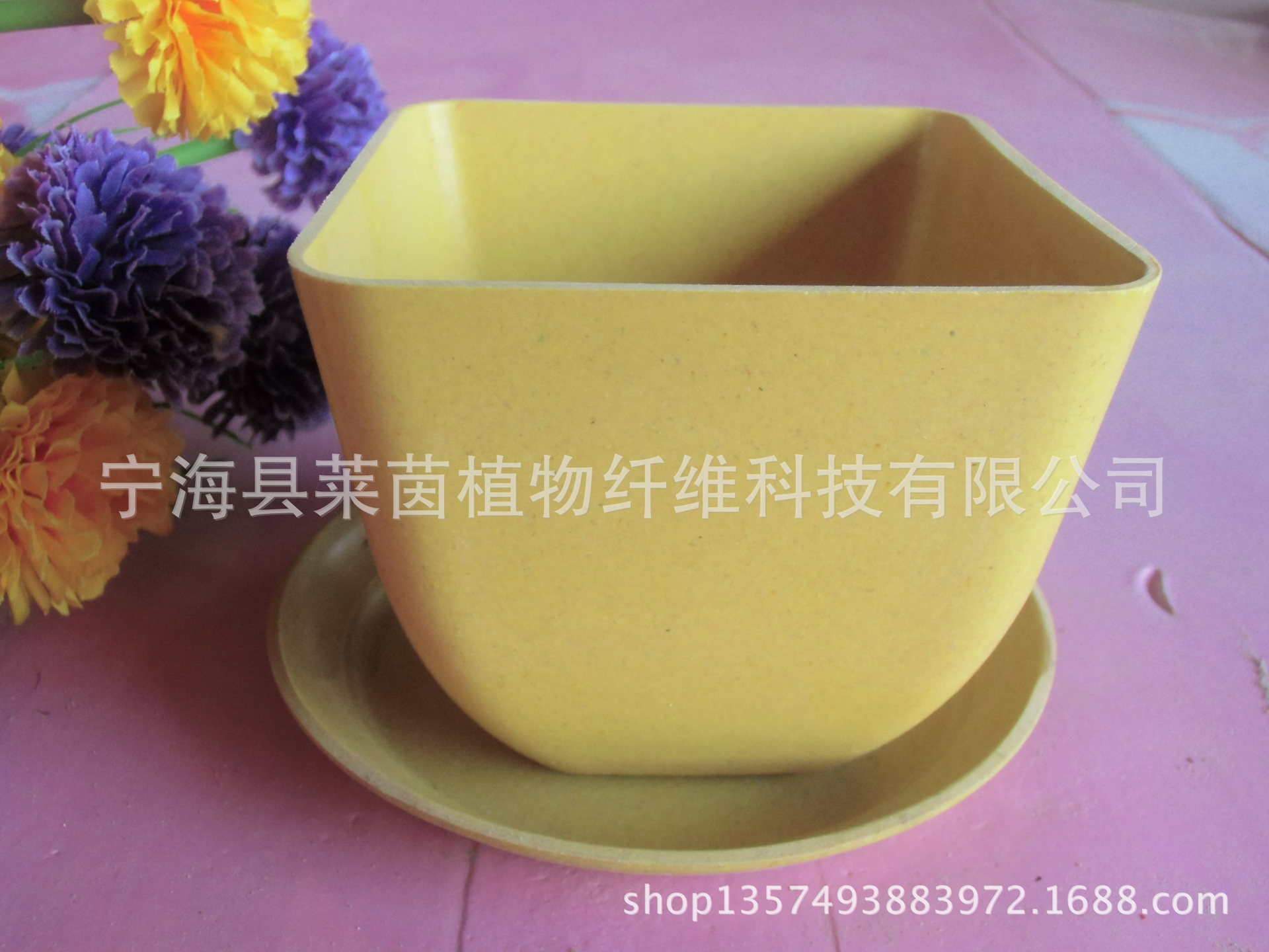CIMG1606